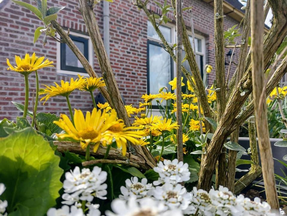 Grytmanshoeve, Vakantiehuis Met Glamping Niawier Exteriör bild